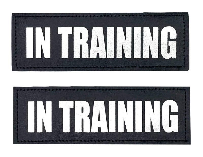 Albcorp Reflective In Training Patches with Hook Backing for Service Animal Vests /Harnesses Medium (5 X 1.5) Inch - Image 1